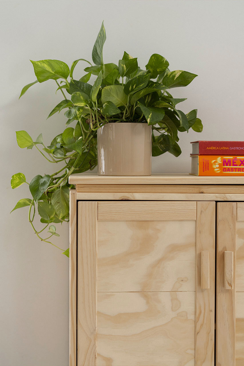 Imagen de ambiente 4 para:Armario aparador con cajones y baldas de madera natural